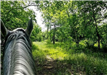 E81 - Horseback Riding Great Trinity Forest2