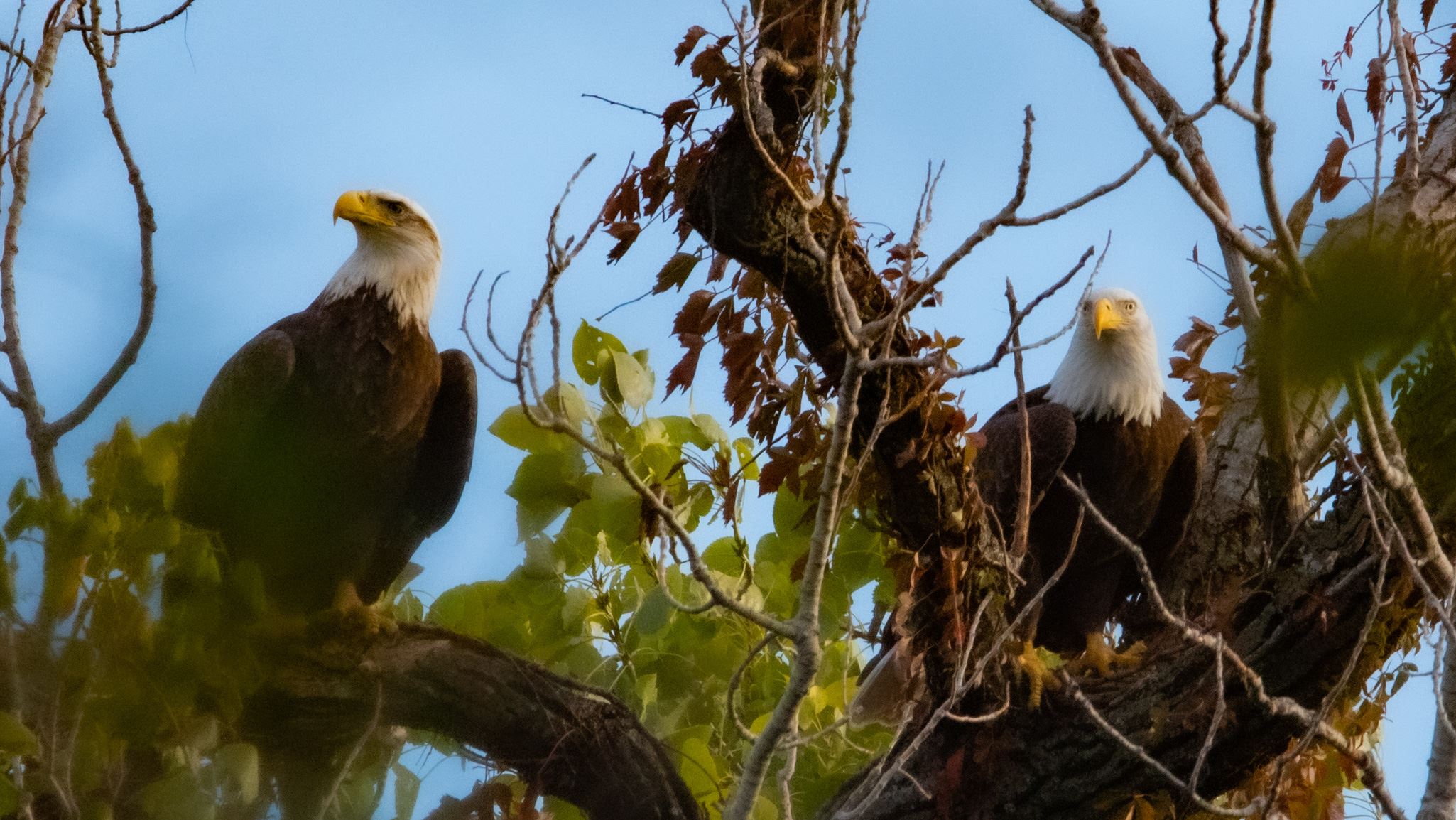 Photo Credit Rob Cooper