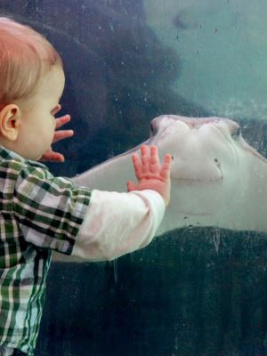 Childrens Aquarium Fair Park