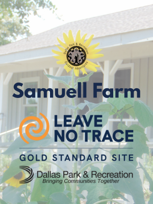 LNT Gold Standard site