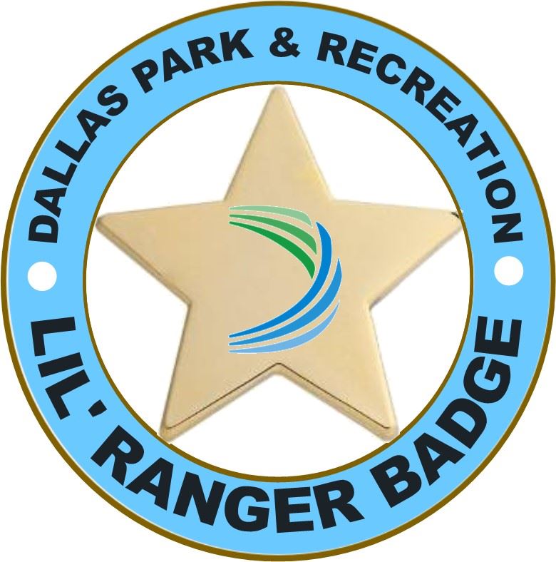 LIL RANGER BADGE