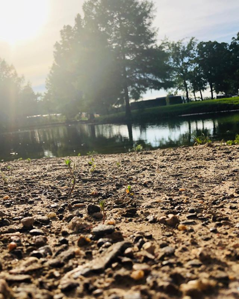 A20 - Kleeberg Rylie