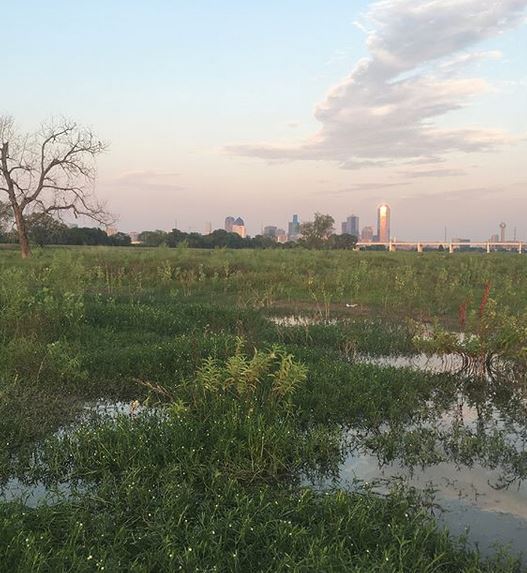 E96 - Trinity Greenbelt Park