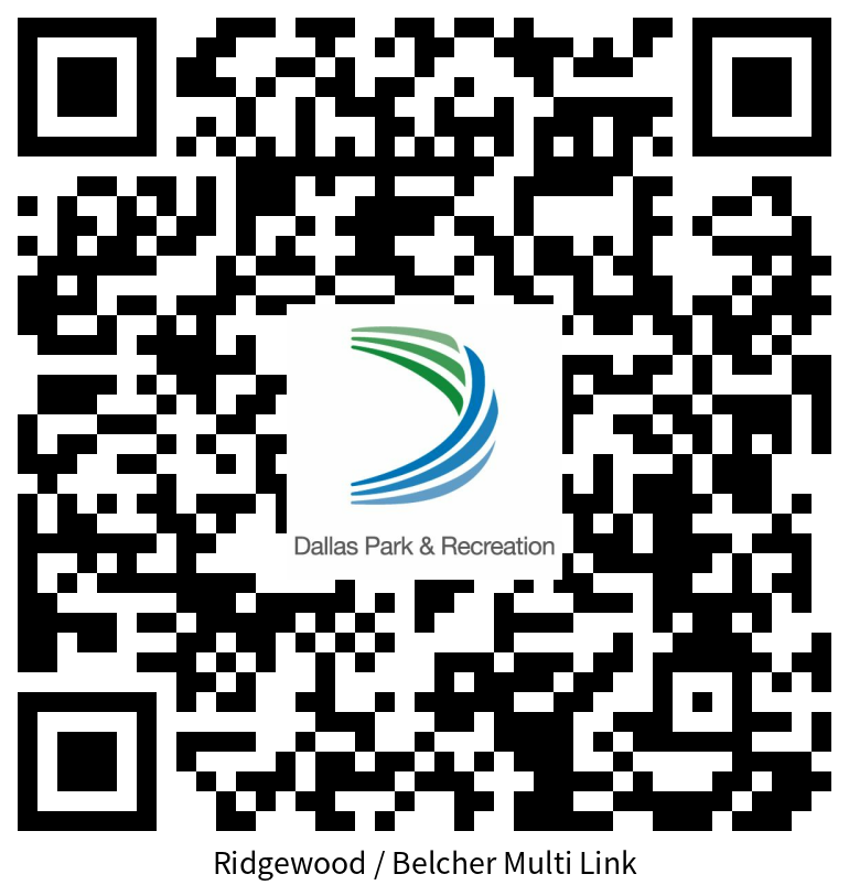 Ridgewood Realtime Feedback MultiLink